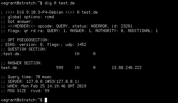 dnscrypt DNS query test